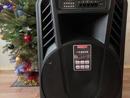 1500 ватт динамик 15 дюймов 2 радиомикрофона 9000 мач беспроводная колонка продам