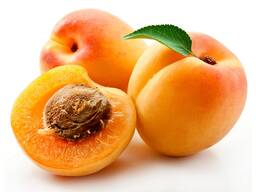 Абрикос сорт лола из Узбекистана