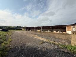 Аренда территории