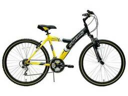 Аренда велосипедов