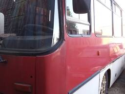 Автобус Ikarus