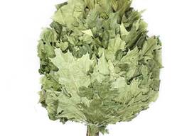 Банные веники из канадского дуба