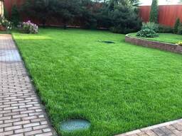 Благоустройство территории