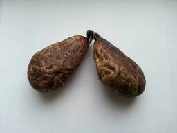 Бобровая струя сохранит вашу молодость и жизнерадостность