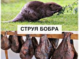 Боровая струя