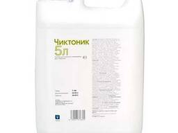 Чиктоник