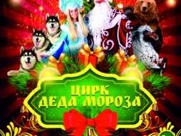 Цирк Деда Мороза в Могилёве 2022г
