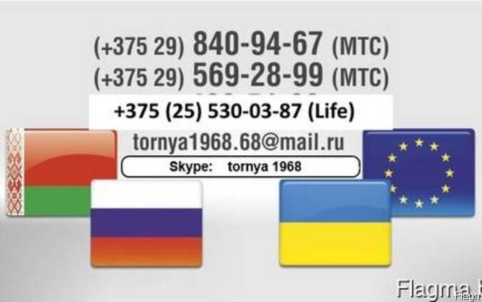 Деятельность по проведению расследований