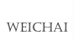 Диагностика, техническое обслуживание и ремонт двигателей Weichai