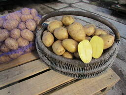 Домашний картофель и другие овощи с бесплатной доставкой Минск