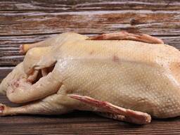 Домашний гусь. мясо