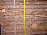 Доска необрезная дуб, 50мм - фото 3
