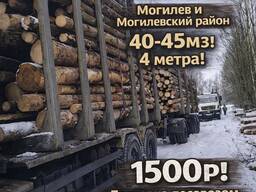 Дрова (берёза, ольха, осина, ель-сосна сухостой) 40-45 м³, 4 м — доставка лесовозом беспла