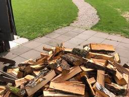 Дрова колотые дуб граб береза Минск