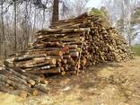 Дрова колотые берёза ольха дуб - фото 2