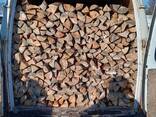 Дрова с доставкой - фото 3