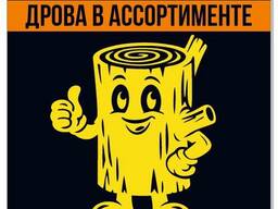 Дрова в ассортименте