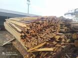 Дрова(обрезки) - фото 2