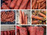 Экспорт сельскохозяйственной продукции из Республики Беларусь - фото 5