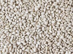 Фасоль белая