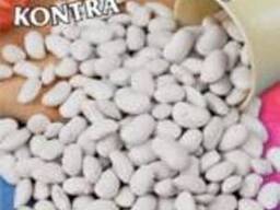 Фасоль Контра зерновая 30г. "Lobelia II" (семена)