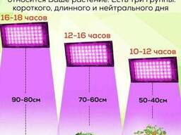 Фитопрожектор светодиодный Plant grow light 100 Вт, IP66, 220 В, 96 LED ламп, 23.5х13. ..