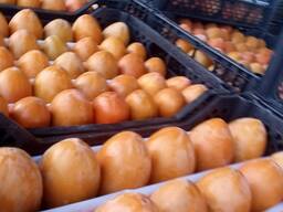 Фрукты от производителя Узбекистан