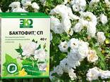 Фунгицид Бактофит (против болезней растений) - фото 2