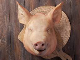 Голова свиная