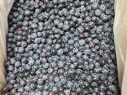 Голубика садовая быстрозамороженная