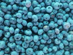 Голубика свежая собственного производства