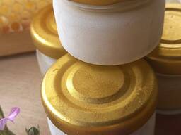 Гомогенат, заморозка, из Беловежской Пущи