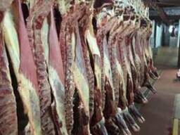 Говядина охл, Свинина охл, блочная говядина