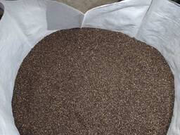 Гречиха семенная