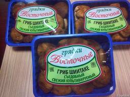 Гриб шиитаке свежий, съедобный, культивируемый в подложке
