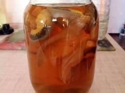 Гриб веселка