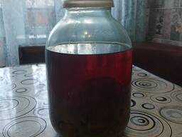 Гриб весёлка