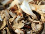 Грибы сушеные (белые либо смесь) - фото 1