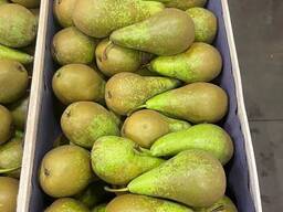 Груша 2 сорта