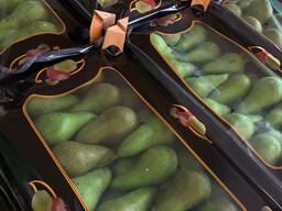 Груша - конференция Голландия, Бельгия