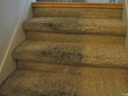 Химчистка ковров