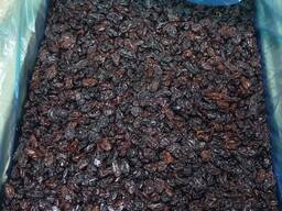 Изюм Кизилча (черно-красный)