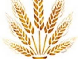 Активатор рубцового пищеварения «Мегабуст Румен»