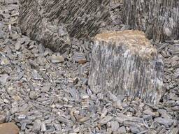 Каменная крошка Кора