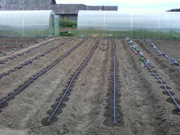 Трубка капельная для полива Шаг 20 30 (33) 50