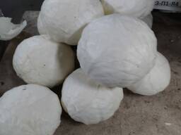 Капуста б/к 2019г