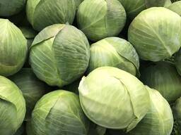 Капуста белокочанная свежая