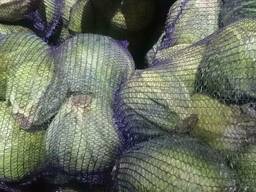 Капуста свежая