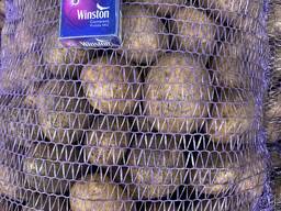 Картофель 5 Галла, Бриз, КоролеваАнна, Джувель, Коломбо