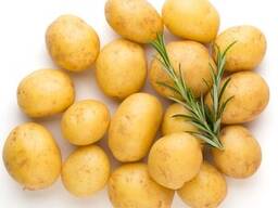 Картофель “Бэби" быстрозамороженный